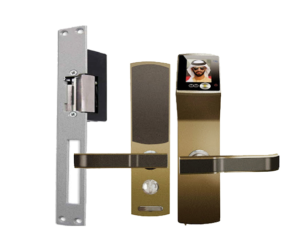 01- Electronic Locks